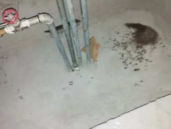 弥渡卫生间测漏水价格明细