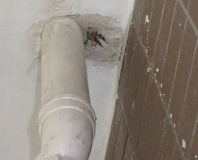 弥渡漏水检测哪家好